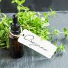 What are the health benefits of oregano?